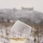 Villa Neobycejny Sklep Pavlov